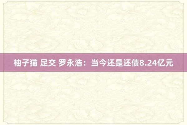 柚子猫 足交 罗永浩：当今还是还债8.24亿元