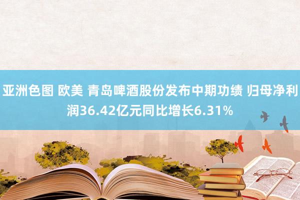 亚洲色图 欧美 青岛啤酒股份发布中期功绩 归母净利润36.42亿元同比增长6.31%