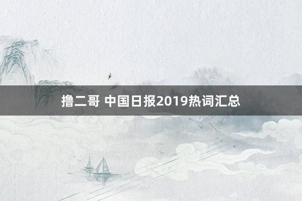 撸二哥 中国日报2019热词汇总